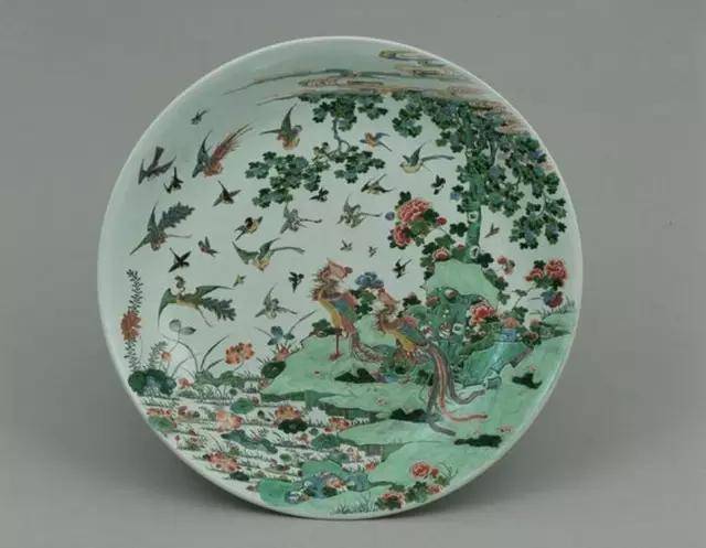 五彩（花卉）.jpg
